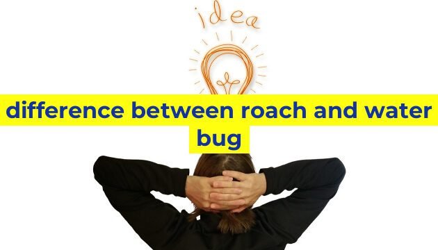 difference between roach and water bug