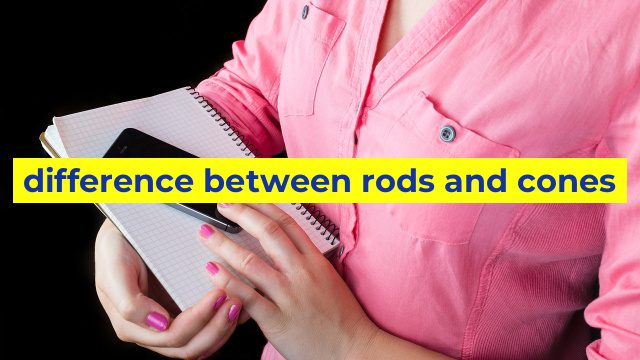 difference between rods and cones