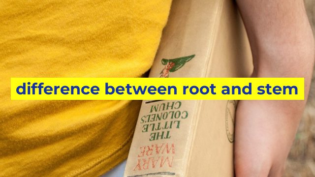 difference between root and stem