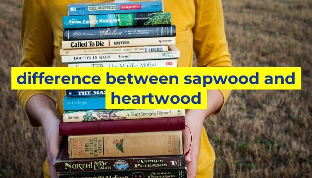 difference between sapwood and heartwood
