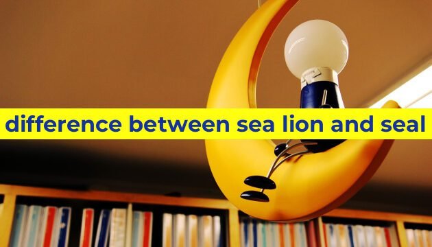 difference between sea lion and seal