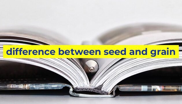 difference between seed and grain