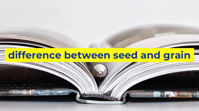 difference between seed and grain