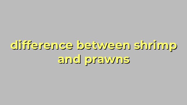 difference between shrimp and prawns