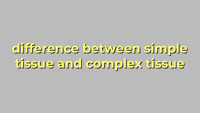 difference between simple tissue and complex tissue
