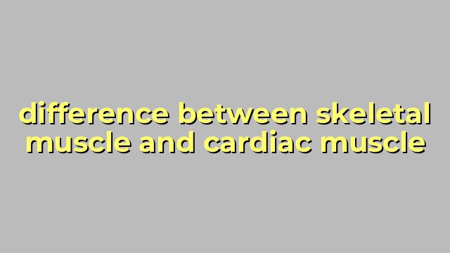 difference between skeletal muscle and cardiac muscle