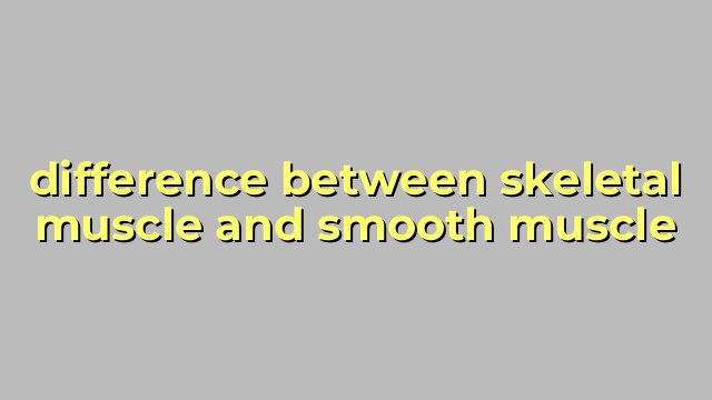 difference between skeletal muscle and smooth muscle