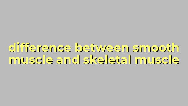 difference between smooth muscle and skeletal muscle