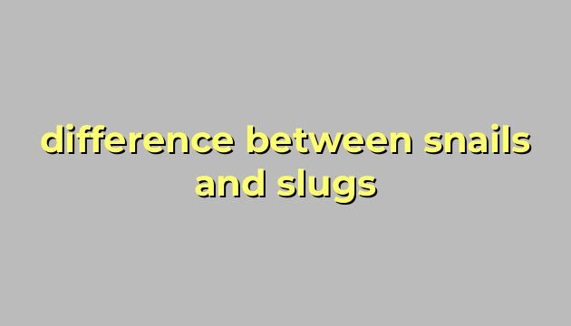 difference between snails and slugs