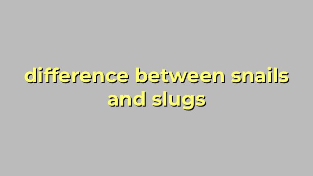 difference between snails and slugs