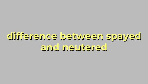 difference between spayed and neutered