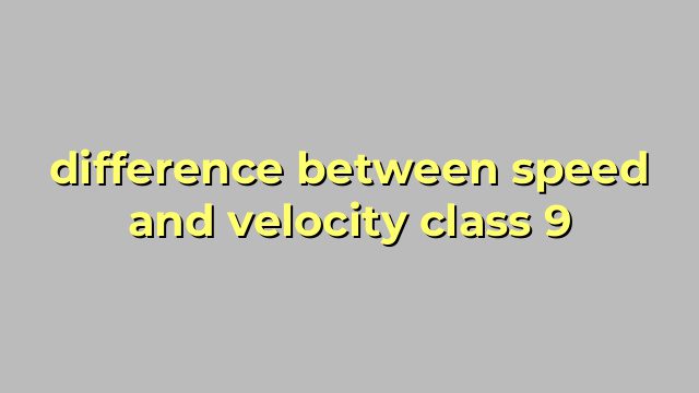 difference between speed and velocity class 9