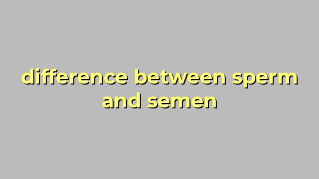 difference between sperm and semen