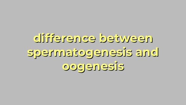 difference between spermatogenesis and oogenesis