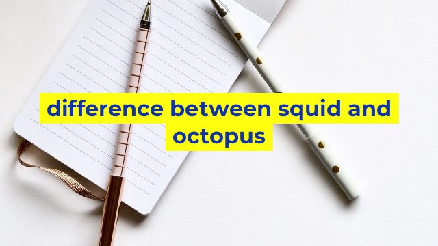 difference between squid and octopus