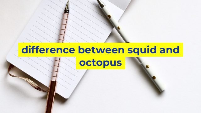 difference between squid and octopus