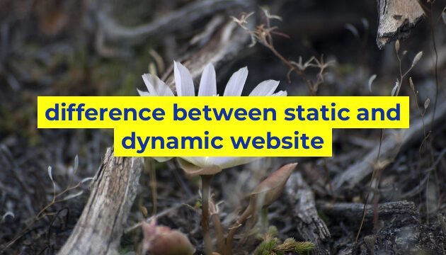 difference between static and dynamic website