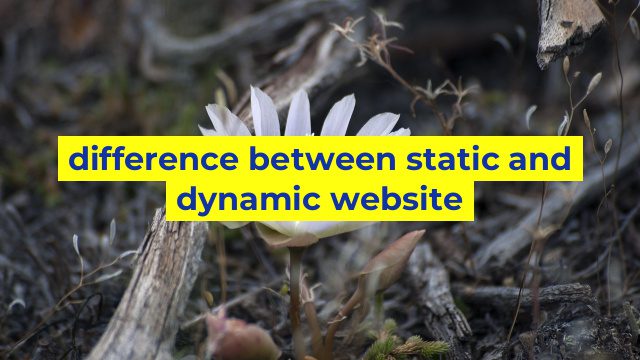 difference between static and dynamic website