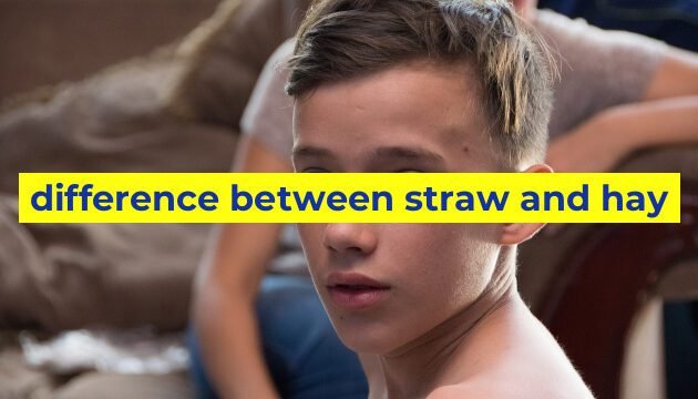 difference between straw and hay