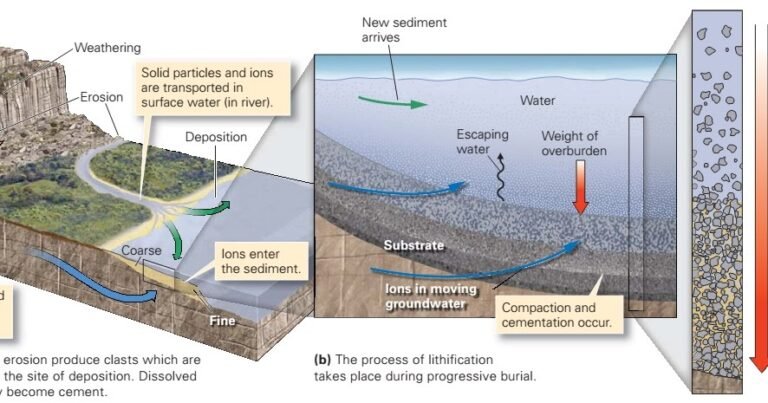 Sedimentary Rocks: Recognizing the Formation Process, Texture, and ...