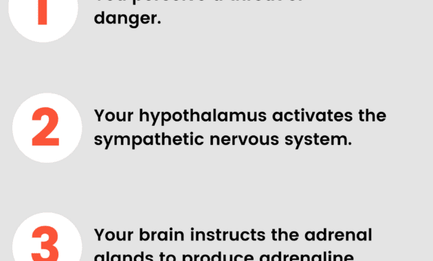 What Is Adrenaline? Know the Benefits and Dangers to the Body