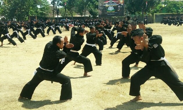Basic Techniques of Pencak Silat