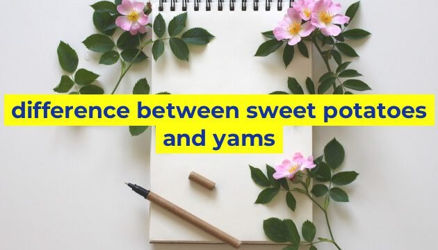 difference between sweet potatoes and yams