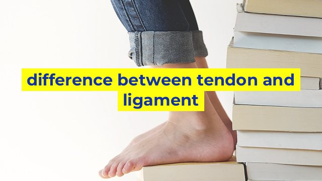 difference between tendon and ligament