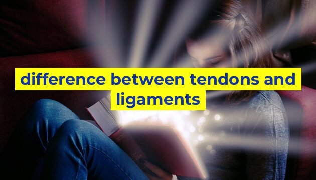 difference between tendons and ligaments