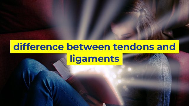 difference between tendons and ligaments