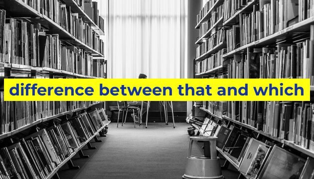 difference between that and which
