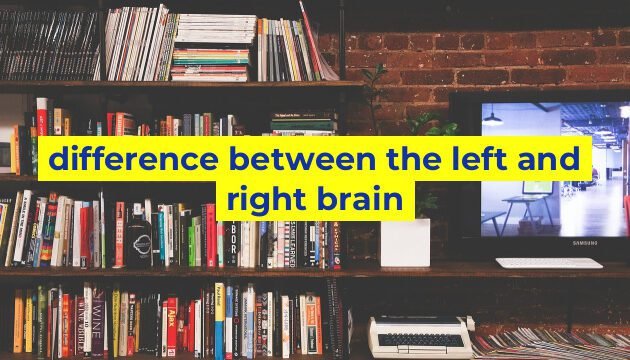 difference between the left and right brain