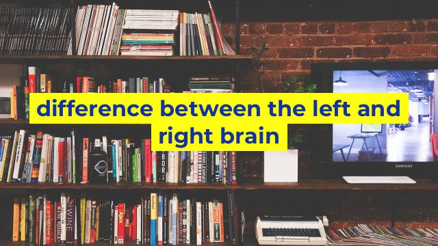 difference between the left and right brain