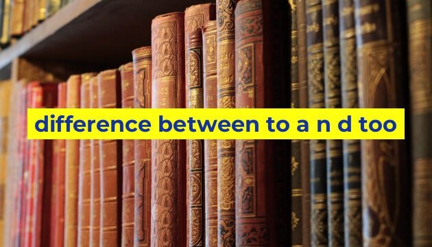 difference between to a n d too
