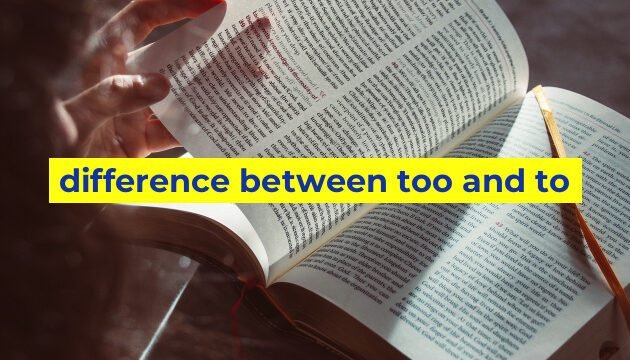 difference between too and to