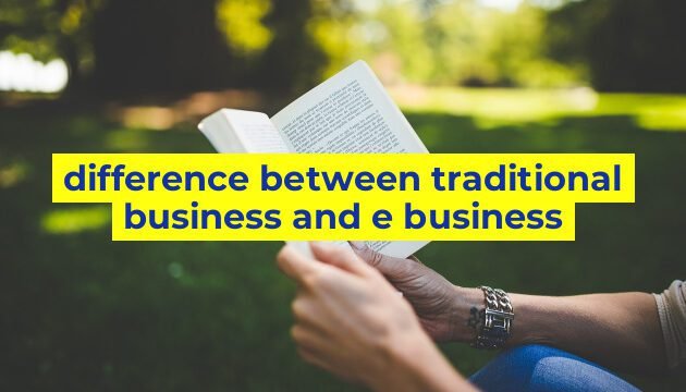 difference between traditional business and e business