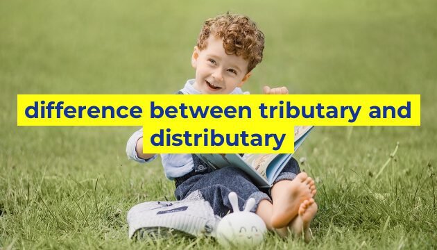 difference between tributary and distributary