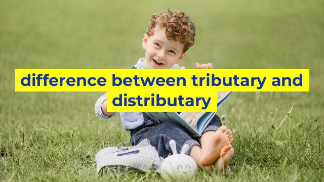 difference between tributary and distributary