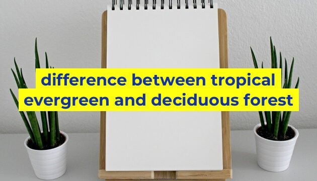 difference between tropical evergreen and deciduous forest