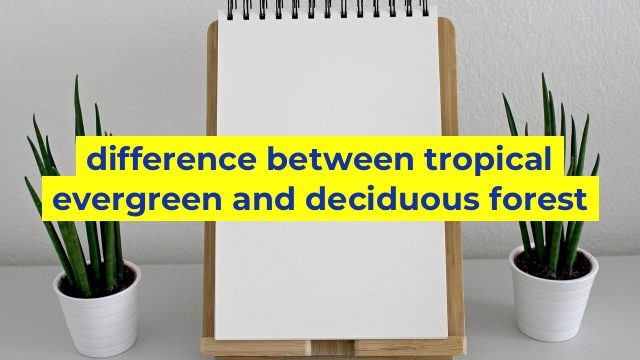 difference between tropical evergreen and deciduous forest