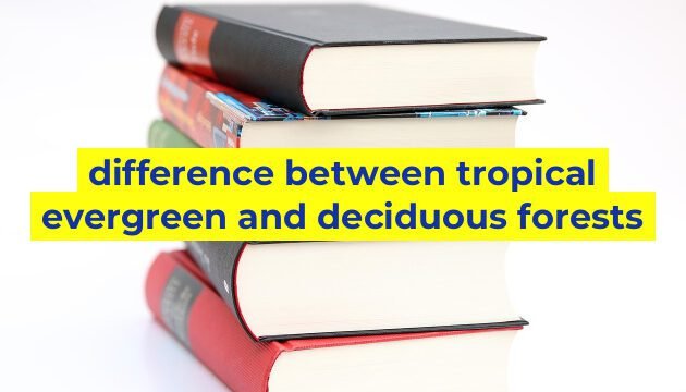 difference between tropical evergreen and deciduous forests