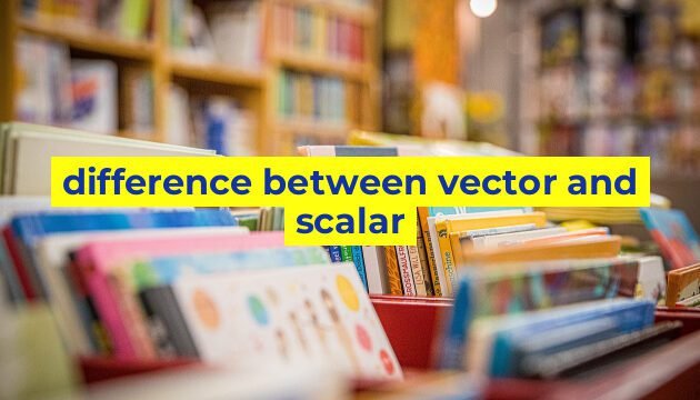 difference between vector and scalar