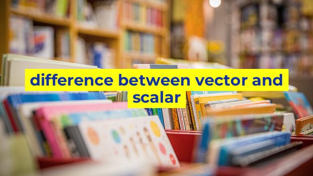 difference between vector and scalar