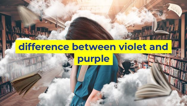 difference between violet and purple