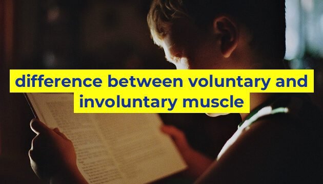 difference between voluntary and involuntary muscle