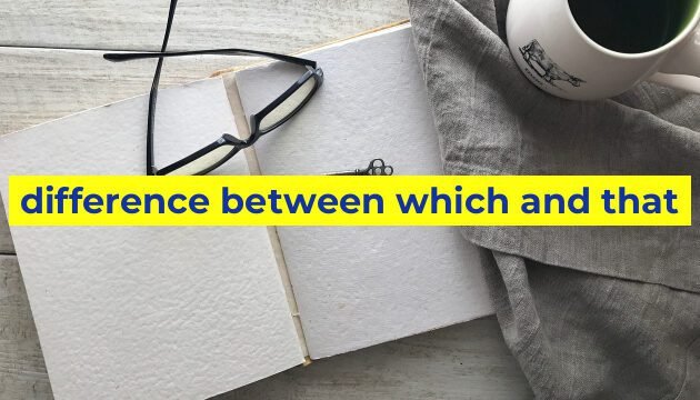 difference between which and that