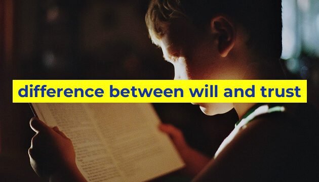 difference between will and trust