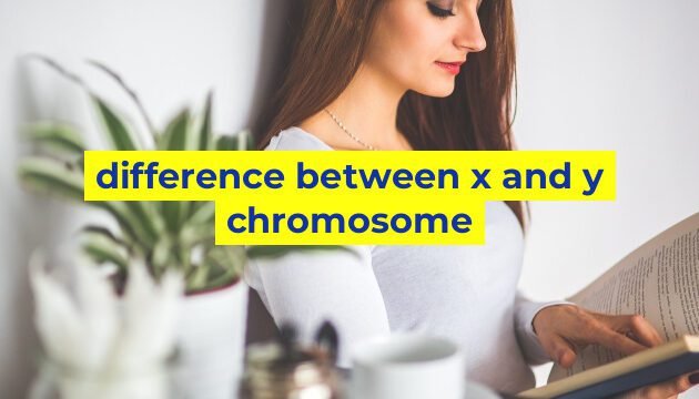 difference between x and y chromosome