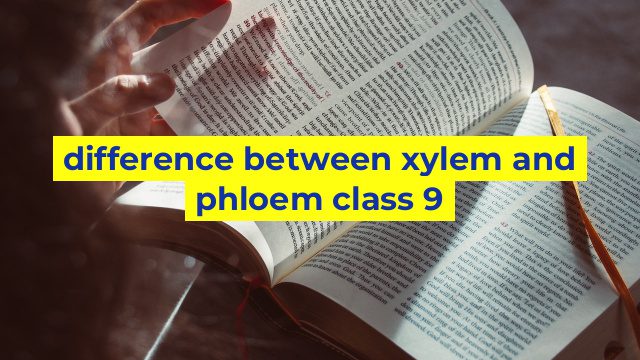 difference between xylem and phloem class 9