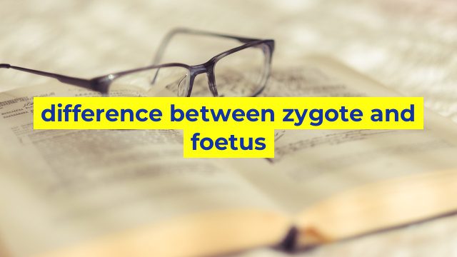 difference between zygote and foetus